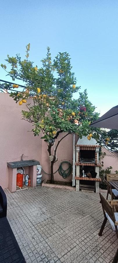 Апартаменты Casa De Ferias Duplex Em Сесимбра Экстерьер фото